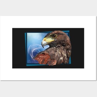 harris hawk Posters and Art